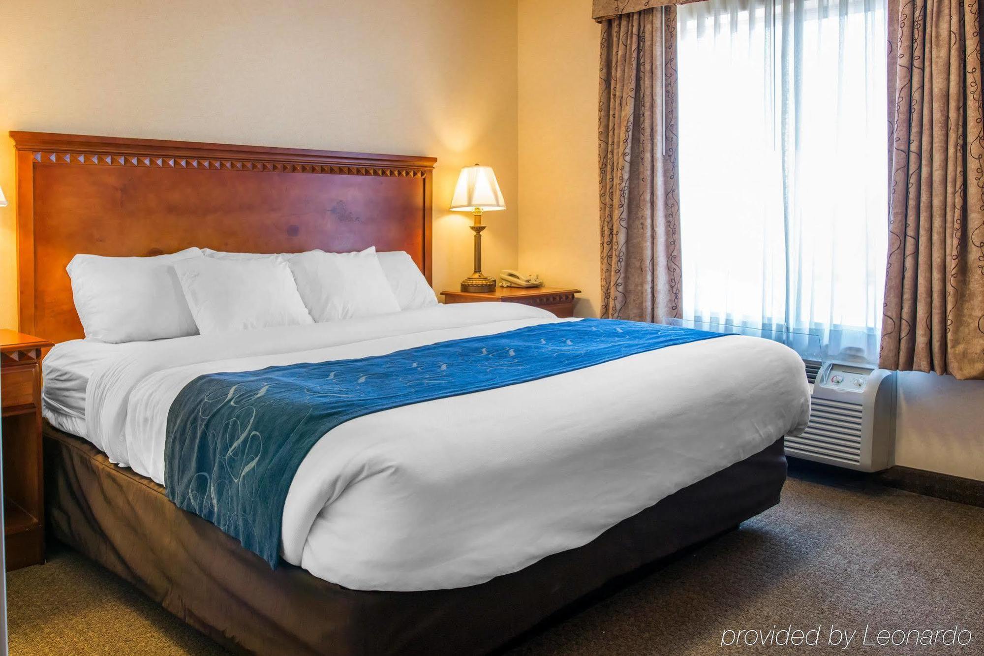 Comfort Findlay